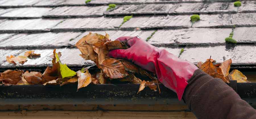 Clearing guttering leaves with your hands