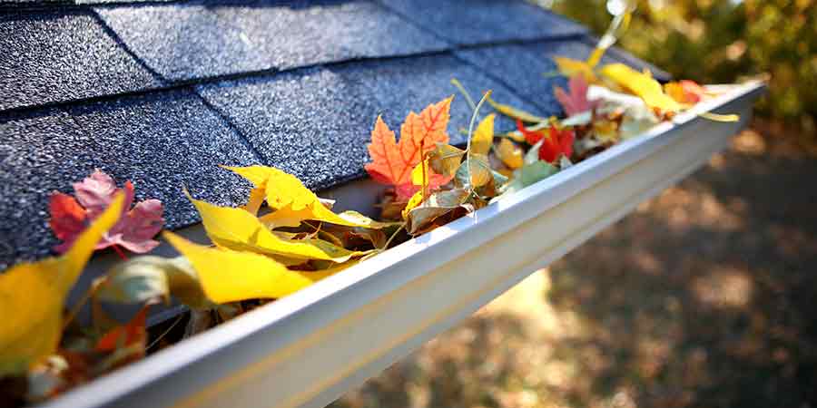 Clean your guttering