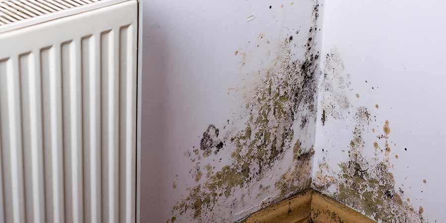 Black mould on the walls next to a window and radiator in a house.