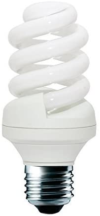 This type of light bulb is called a CFL (compact fluorescent lamp)