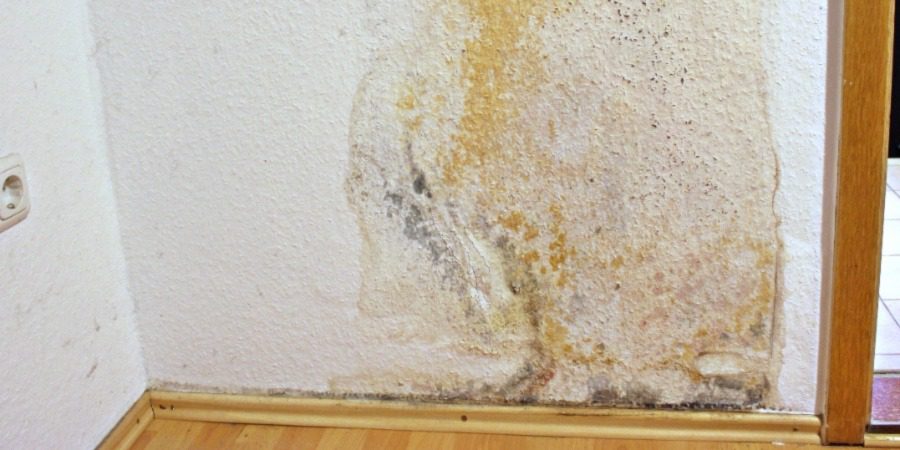 A white wall that has been discoloured by water damage from rising damp.